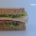 Generasi sandwich adalah