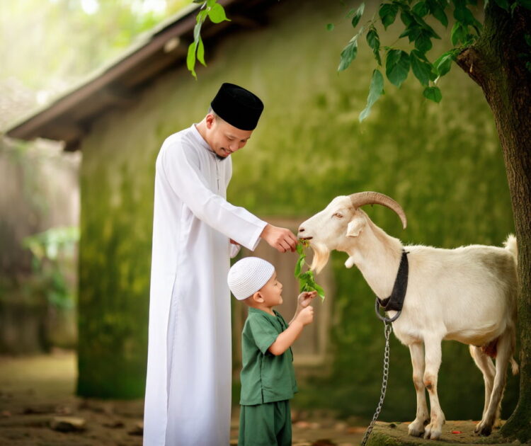 Seorang pria berbaju putih sedang memberi makan kambing qurban bersama seorang anak kecil yang mengenakan pakaian hijau dan kopiah putih.