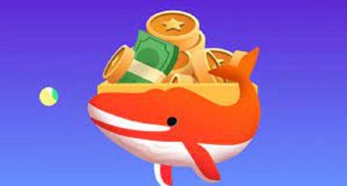 Money Whale