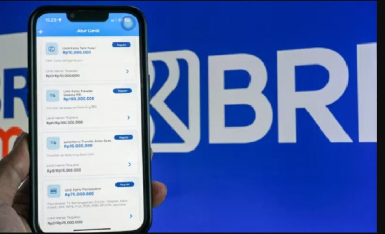 Deposito BRI Rp 100 Juta per Bulan