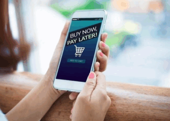 Pengertian Paylater.