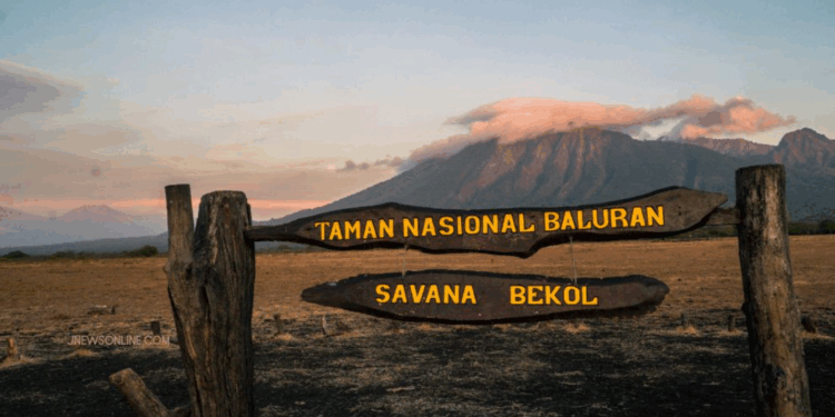 Tips liburan ke taman nasional Baluran.