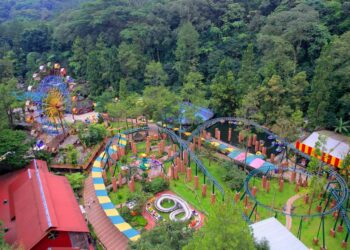 Tips liburan ke Taman Safari Bogor