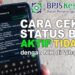 Cara Cek BPJS Kesehatan Aktif atau Tidak (Foto: Youtube/Kang Setyo)