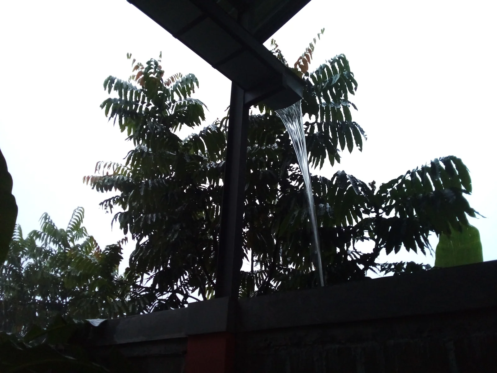 Air hujan mengucur dari ujung talang atap rumah ke dekat pagar tembok
